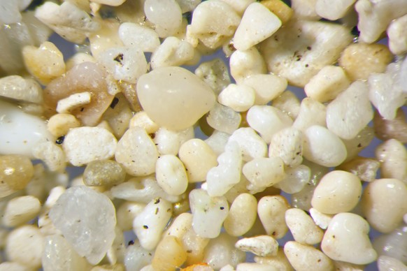 Micro photography of sand grains