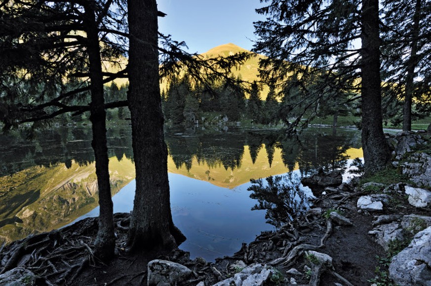 Switzerland. get natural. 
Gantrisch Nature Park in Canton Bern. Little Gantrisch lake, in the back the Birehubel mountain (1850 m). 

Schweiz. ganz natuerlich. 
Naturpark Gantrisch im Kanton Bern. Am ...