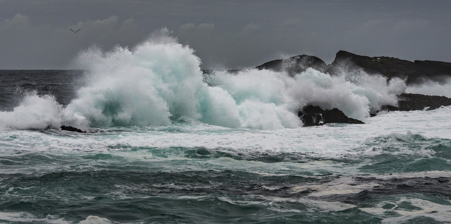 Nee Islets, Neuseeland, Tasmanisches Meer
https://www.flickr.com/photos/vjosullivan/33492946556