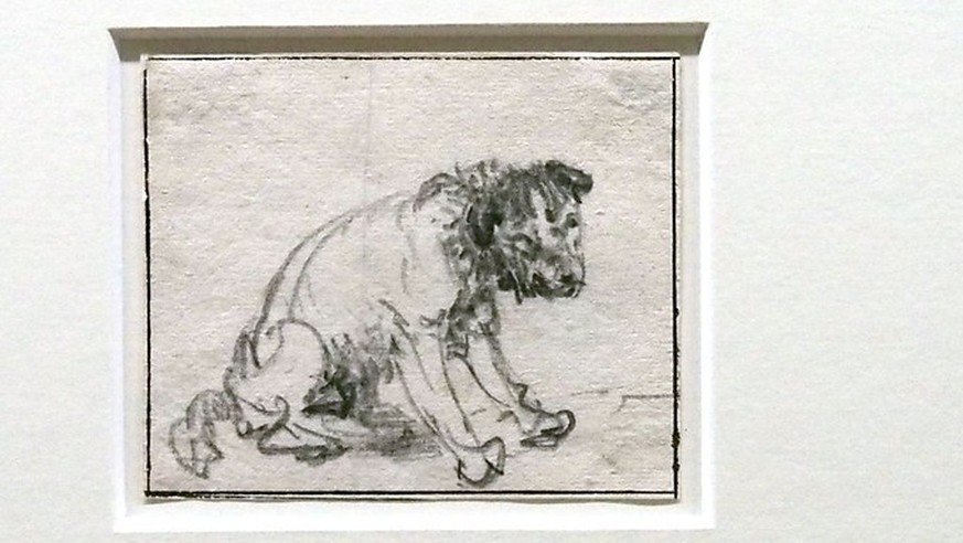 «Das ist die einzige Zeichnung eines Hundes, die von Rembrandt bekannt ist», sagt der Kunsthistoriker Schatborn.
