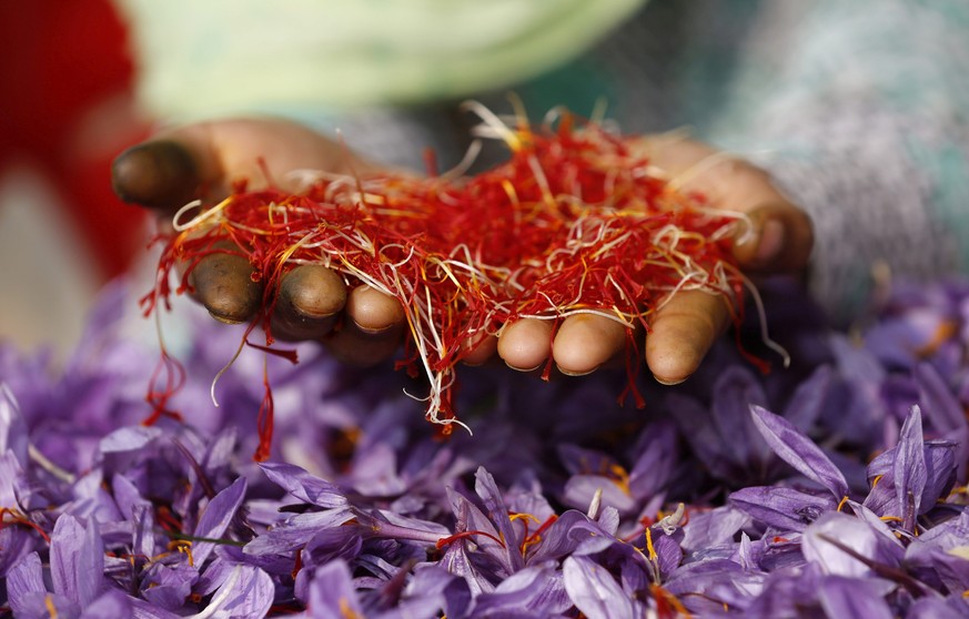 epa05614018 A picture made available on 02 November 2016 shows a Kashmiri girl displaying the saffron after picking it from flowers outside a saffron field in Pampore, some 25 kilometers south of Srin ...