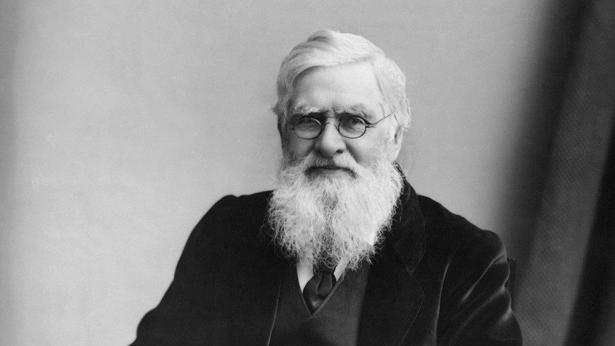 The research of British naturalist Alfred Russel Wallace (1823-1913) played a pivotal role in developing the theory of natural selection. But over time, Charles Darwin became almost universally though ...