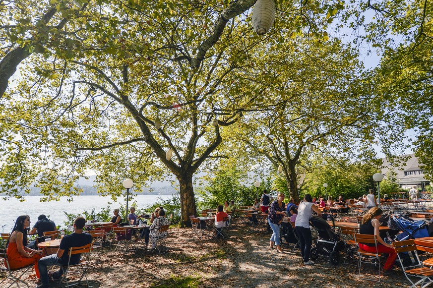 Menschen geniessen den herrlichen &quot;Altweibersommer&quot; unter Bäumen am Zuerichsee bei Zuerich am Dienstag, 16. September 2014. (KEYSTONE/Walter Bieri)