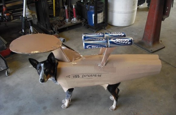 Hund als USS Enterprise verkleidet