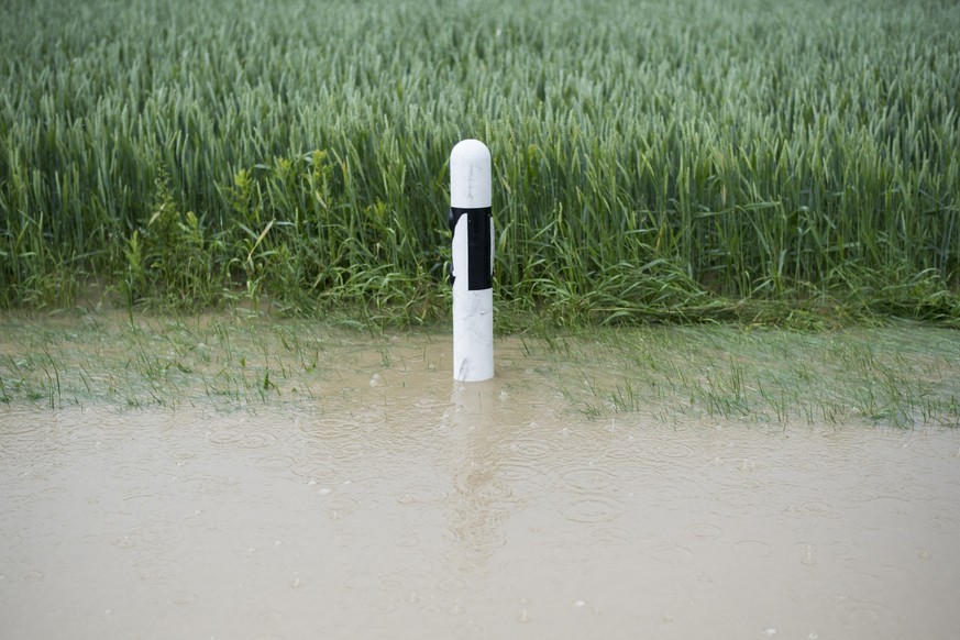 Ein Getreidefeld nahe einer überfluteten Strasse im aargauischen Dottikon (08.06.2016).