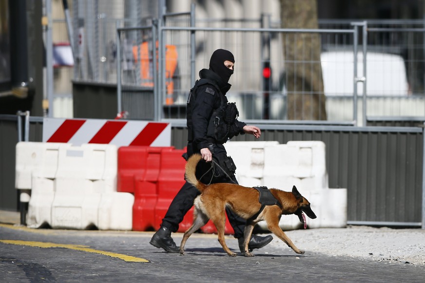 epa05851855 A Police officer with a dog stands guard outside the International Monetary Fund (IMF) headquarters in Paris, France, 16 March 2017. An employee of the IMF has been injured in the face aft ...