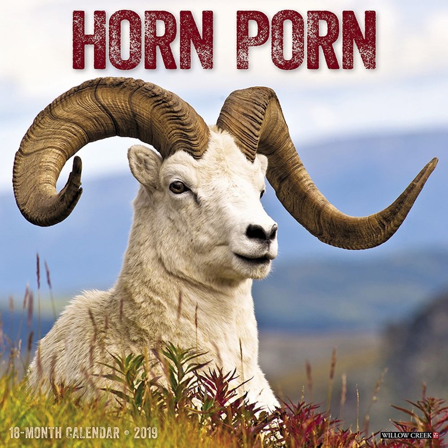 Horn Porn Calendar https://www.calendars.com/Horn-Porn-Wall-Calendar/prod201800001770/