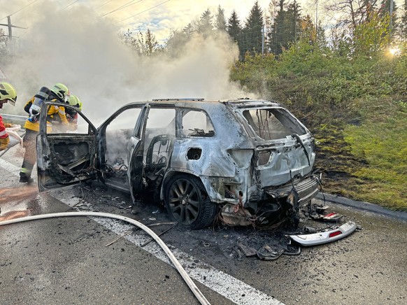 Nachrichten Linkding Wäldi: Autobrand auf der Autobahn