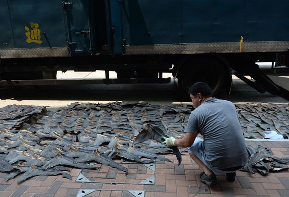 Ein Händler beim Auslegen von Haifischflossen in einer Hongkonger Strasse.