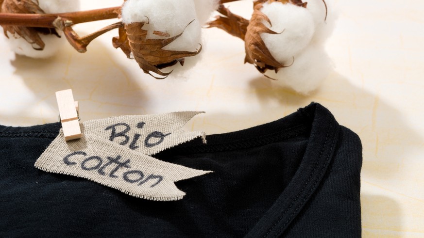 100 Prozent Bio-Baumwolle – was heisst das überhaupt?