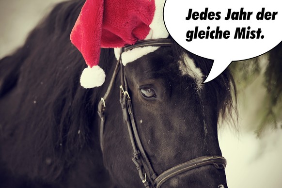 Pferd ist deprimiert wegen Weihnachten.