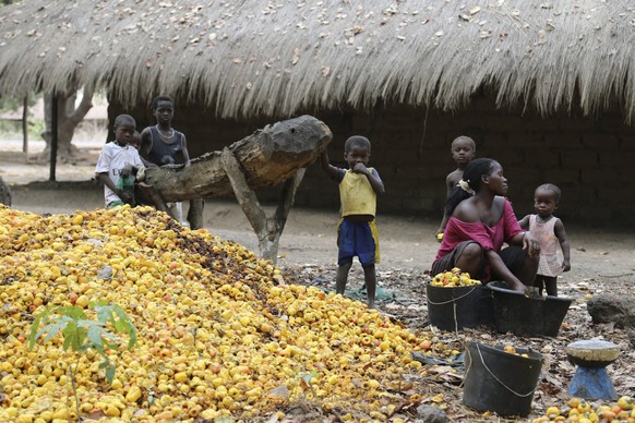 Guinea-Bissau: Ein unbekanntes Land mit wenig Infrastruktur.