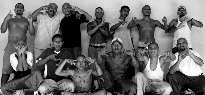 Unter dem Begriff «Mara Salvatrucha» (kurz Mara) wird eine Vielzahl von Banden zusammengefasst, die in Nord- und Mittelamerika agieren. Sie gelten als aggressiver und gewaltbereiter als die meisten an ...