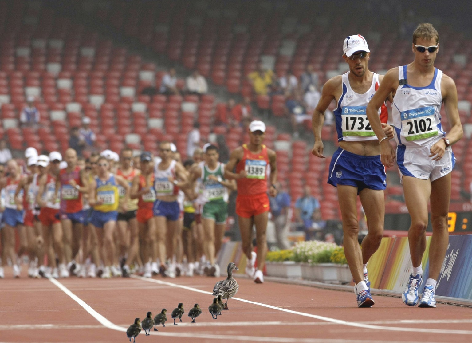 Beim Gehen schaffen es Athleten, sich wie Enten fortzubewegen – ein Triumph des Menschen über den Schöpfer. Bei allem Spott für die Geher: Wer sich 50 km weit im Entengang vorwärts quält und dabei auf ...