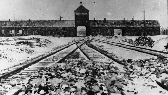 Blick auf Auschwitz II (Vernichtungslager Birkenau)