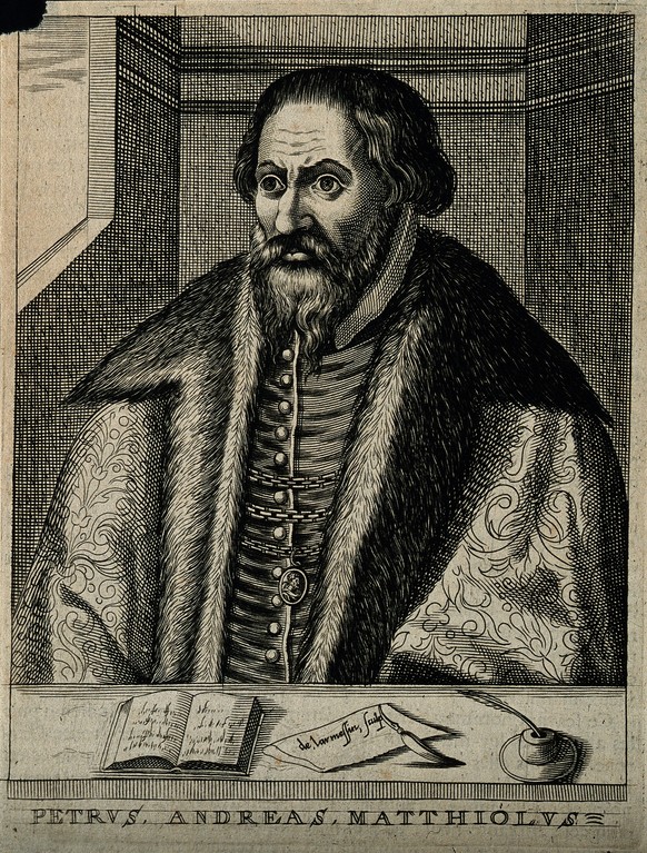 V0003913 Pietro Andrea Mattioli. Line engraving by N. de Larmessin, 1
Credit: Wellcome Library, London. Wellcome Images
images@wellcome.ac.uk
http://wellcomeimages.org
Pietro Andrea Mattioli. Line eng ...