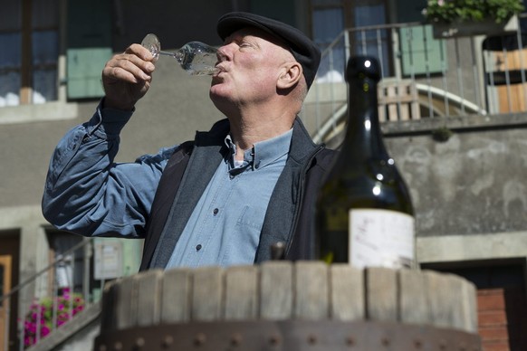 Jean-Claude Biver, le patron de la marque horlogere Hublot, boit un verre lors de la vendange de la &quot;Vigne a Gilles&quot; cuvee 2013 ce samedi 12 octobre 2013 a Saint-Saphorin dans le canton de V ...