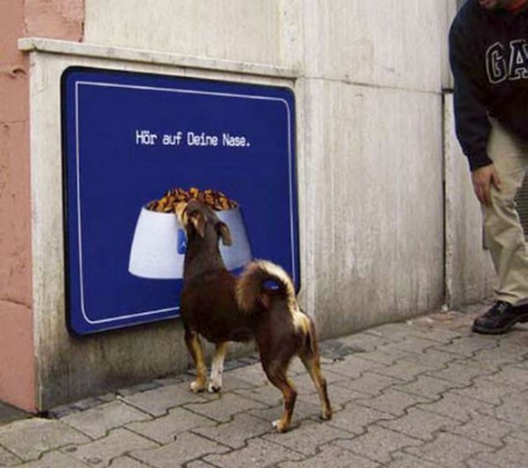 Hund will Hundefutter auf Plakat essen.

http://imgur.com/a/9KdEr