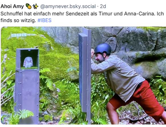Nachrichten Linkding Posts und Memes zum Dschungelcamp 2025