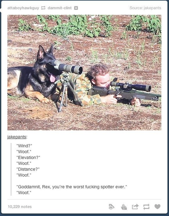 Hund als Soldat.
Picdump
http://imgur.com/gallery/NORjO