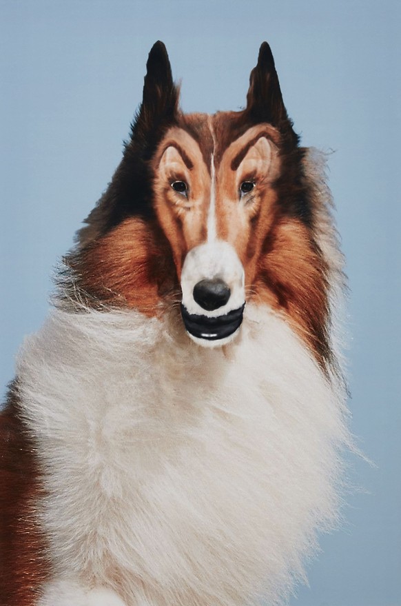 «Reconstructed Lassie», 2012: Die Augen wurden mit einer Nagelschere ausgestochen und mit Murmeln hinterlegt, das Hundegesicht radikal mit Photoshop bearbeitet.&nbsp;