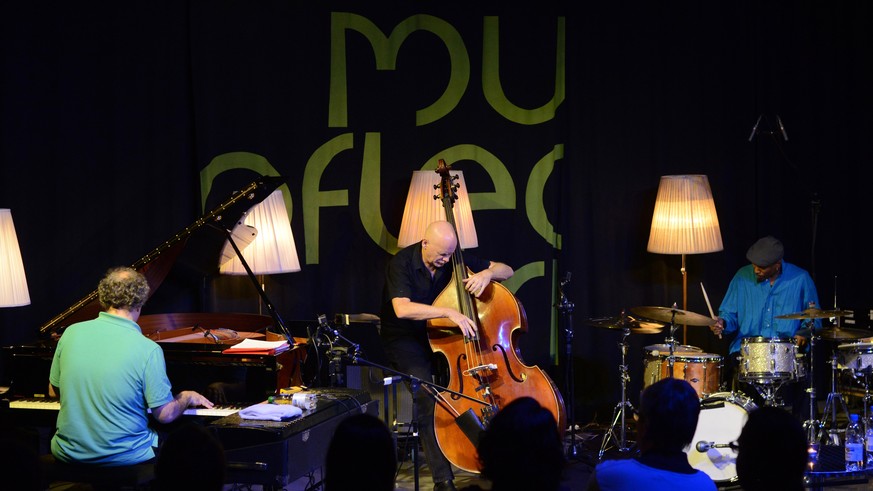 Uri Caine Trio bei musig im pflegidach, Muri