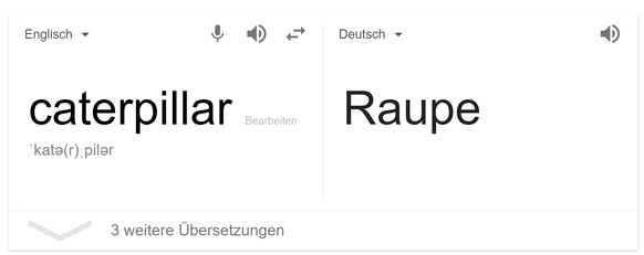 Google Übersetzer Raupe