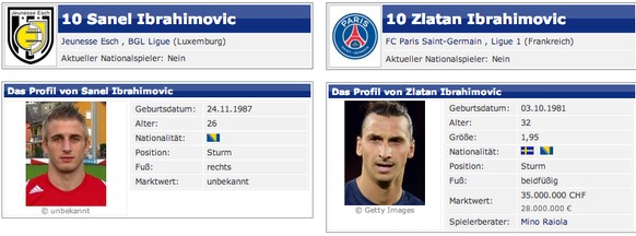 Die Statistiken von Sanel und Zlatan Ibrahimovic auf transfermarkt.ch