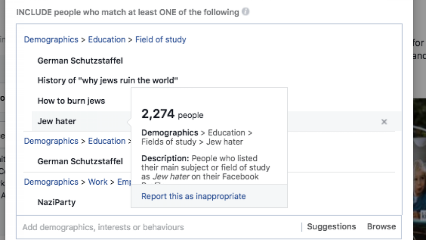 Ein Screenshot, der zeigt, wie Pro-Publica-Journalisten Anzeigen mit Facebooks Werbetool gezielt an judenfeindliche Gruppen ausliefern konnten.