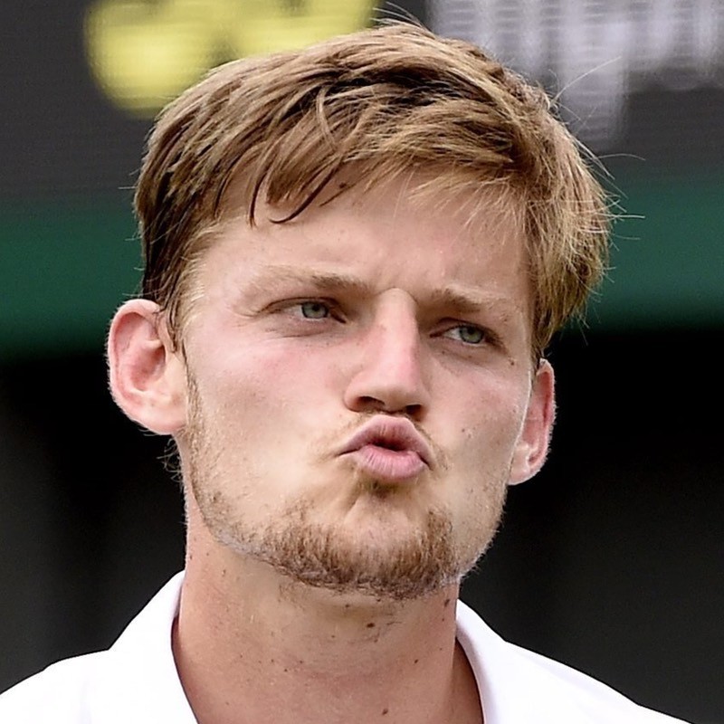 David Goffin