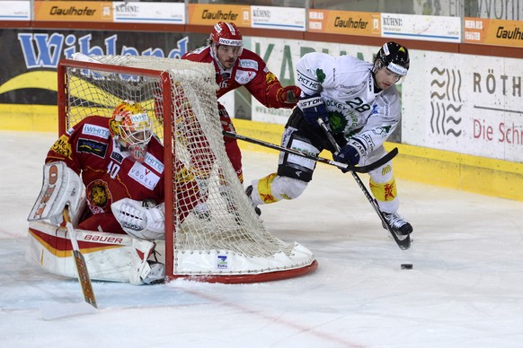 Steht und fällt der Erfolg in Langnau mit Goalie Ciaccio?