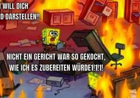 Nachrichten Linkding Die lustigsten Posts zum Dschungelcamp