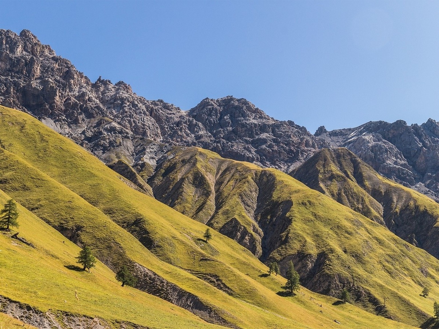 Der Nationalpark im Val Trupchun, September 2019.
https://commons.wikimedia.org/wiki/File:Bergtocht_van_Pras%C3%BCras,door_het_Val_Trupchun_naar_Alp_Purcher_18-09-2019._(actm.)_03.jpg