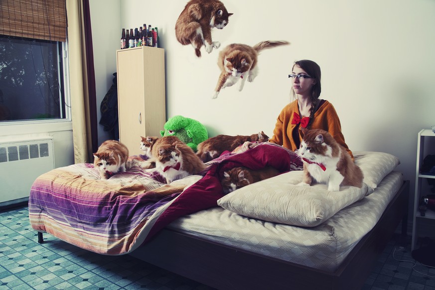 Crazy Cat Lovers von Andréanne Lupien