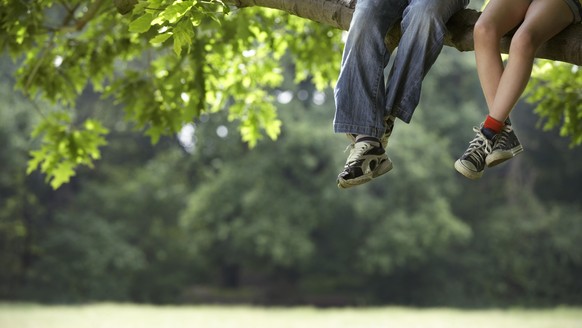 Kinder im Baum: So hoch oben, dass einem schwindelig wird.
