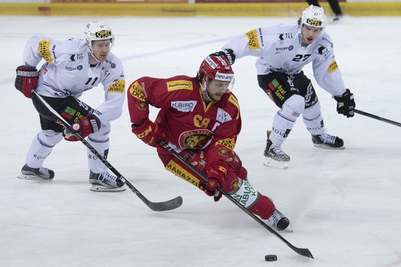 Tigers Sven Lindemann, Mitte, kaempft um den Puck, gegen Fribourgs Roman Cervenka, links, und Fribourgs Yannick Rathgeb, rechts, waehrend dem Eishockey-Qualifikationsspiel der National League A zwisch ...