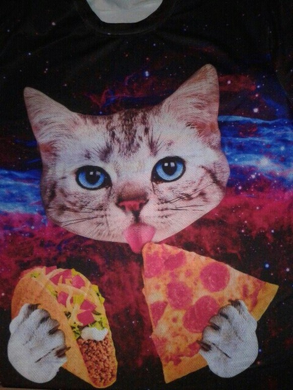 Katze, pizza