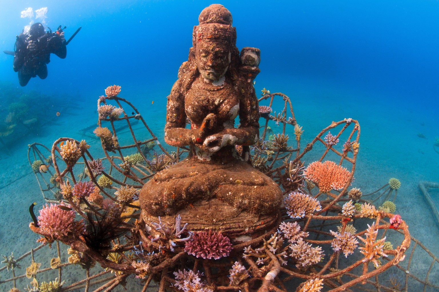 Lokale Künstler erschaffen Skulpturen, an denen sich langsam wieder neue Korallen bilden.