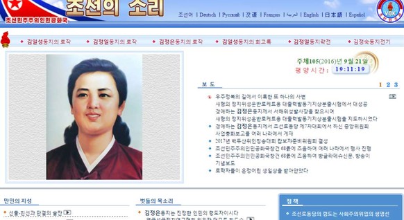 Ein Screenshot von einer Nordkoreanischen Webseite.