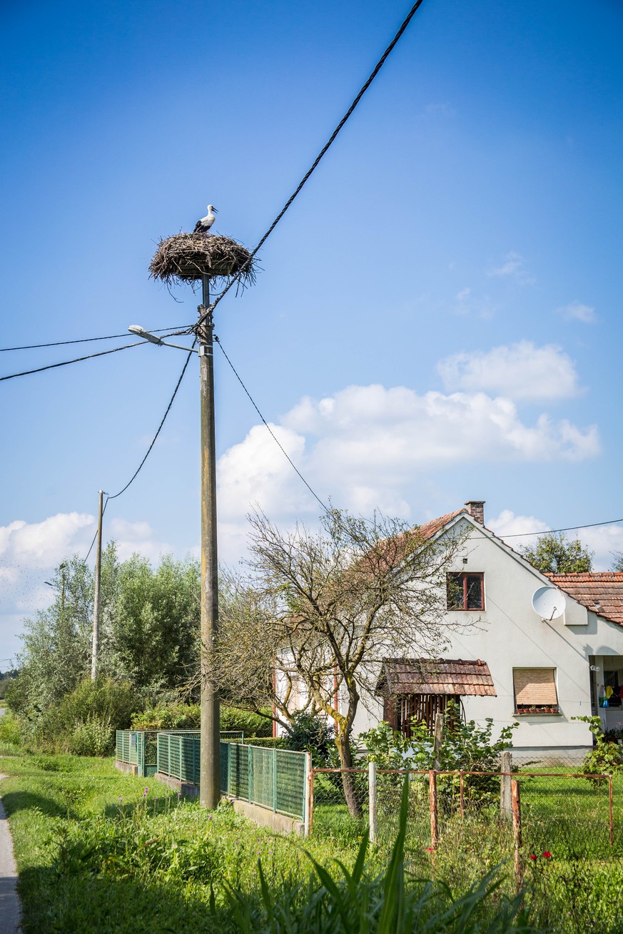 Wie oft Sie den Storch über Ihrem Haus nisten lassen, ist Ihre Sache. Die Verantwortung dafür aber auch.