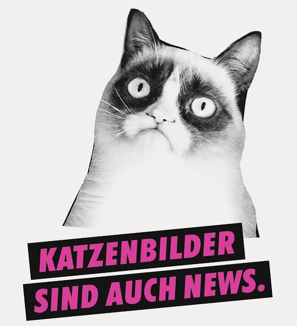 Grumpy Cat verziert auch unsere Plakate.