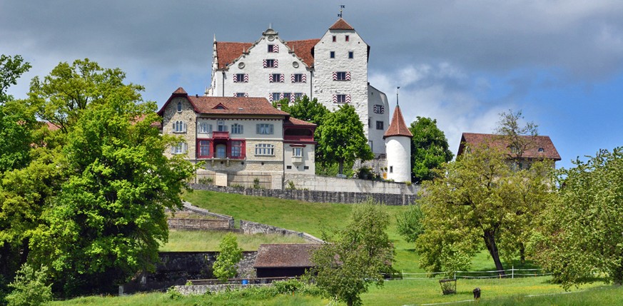 Die Idylle am Schloss von Wildegg wurde jäh gestört – von einem Räuber aus NORWEGEN.