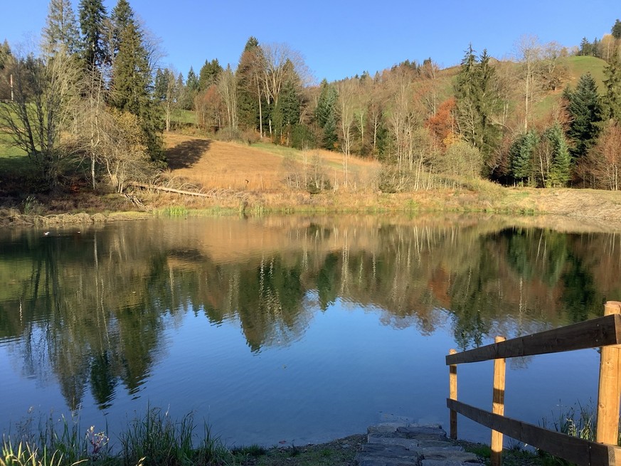 Nachrichten Linkding MAZ Medienwoche Wanderung Bachtel