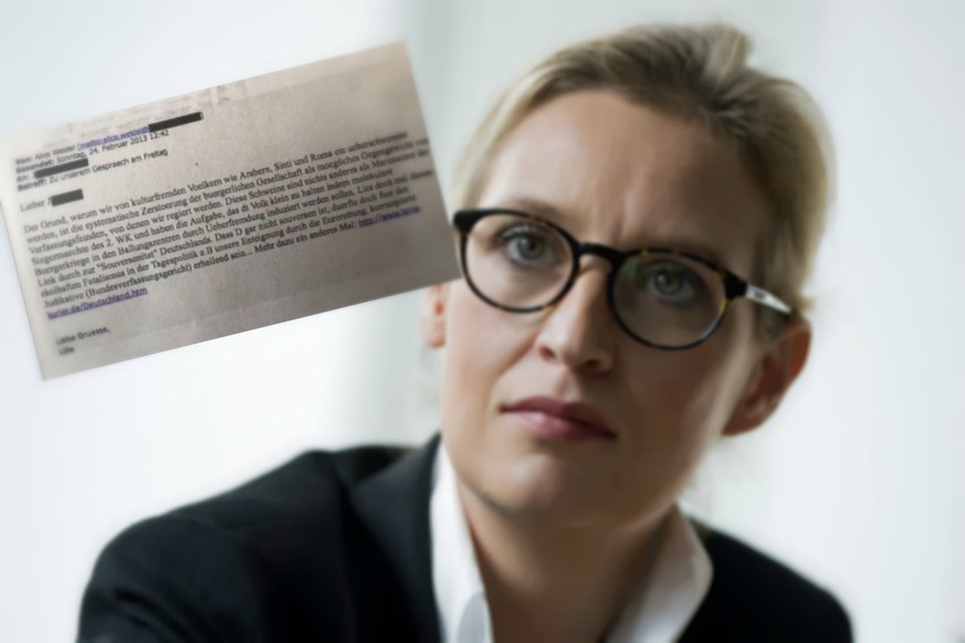 AfD-Spitzenkandidatin Alice Weidel und die angebliche E-Mail aus dem Jahr 2013.&nbsp;