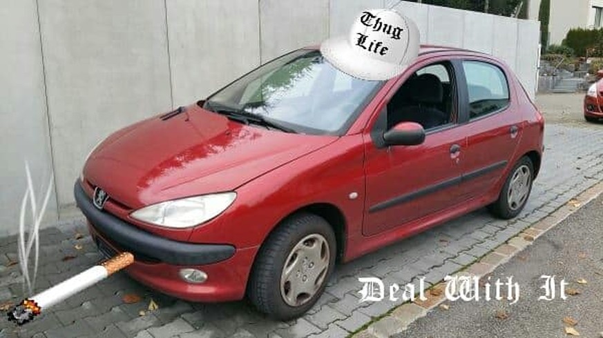 https://auto.ricardo.ch/kaufen/fahrzeuge/autos/sonstige/peugeot-206-1-6-16v-xt-premium/w/an868691514/ peugeot 206 autoinserat feuerblitz thug life deal with it auto