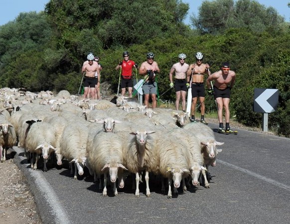 Auf Sardinien bolzt das Langlaufteam um Dario Cologna derzeit bei strahlendem Sonnenschein Kondition. Zumindest im Oberkörperbereich sind die Schweizer schon wieder Weltklasse. Davon kann sich auch di ...