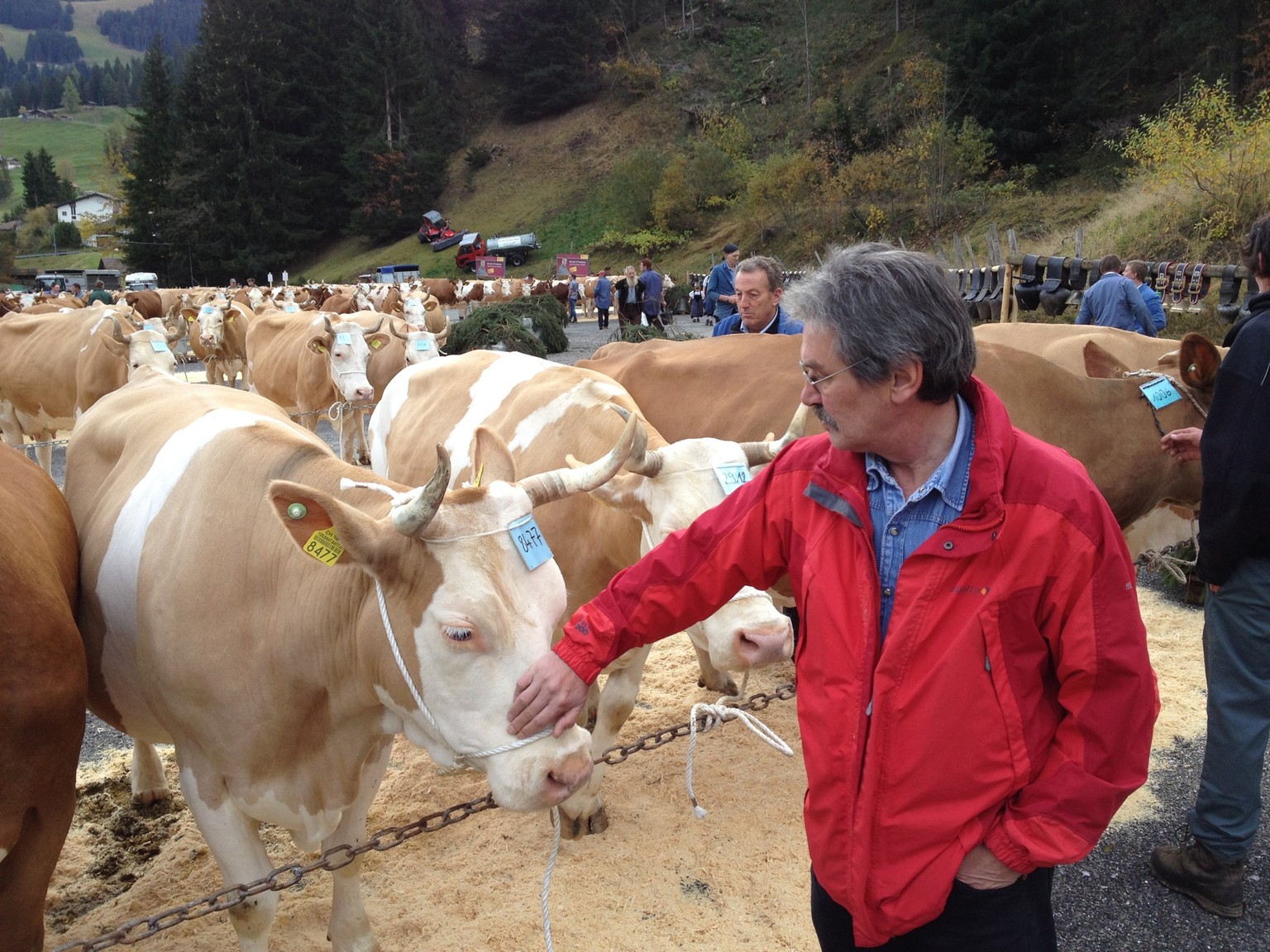 SP-Ständerat Roberto Zanetti (SO) an der Viehschau in Adelboden letzten Oktober.