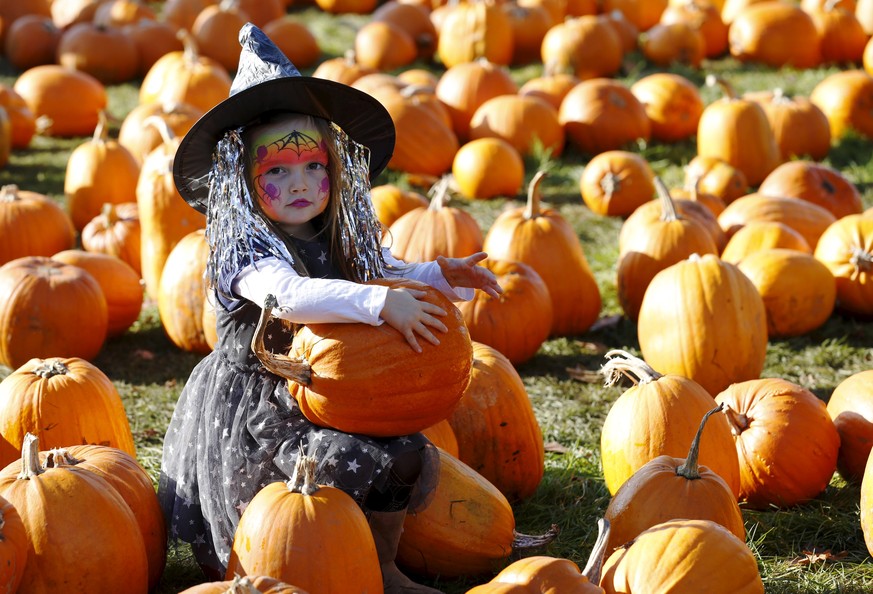 Dressed as a witch, Maisy Thompson plays with pumpkins in the pumpkin patch ahead of Halloween at Crockford Bridge Farm at Addlestone near Woking, southern Britain October 26, 2015. REUTERS/Luke MacGr ...