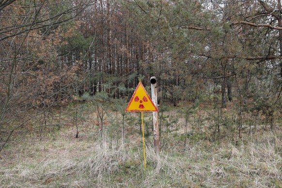 In this photo taken Wednesday, April 5, 2017, a radioactivity sign stands in the ground, outside Chernobyl, Ukraine. April 26 marks the 31st anniversary of the Chernobyl nuclear disaster. A reactor at ...