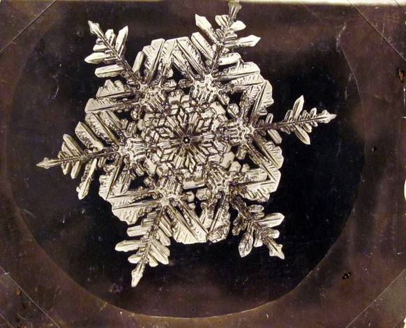 «No snowflake is alike» – jeder Kristall ist einzigartig.